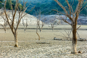 1101 0477 Embalse El Grado Huesca Spain