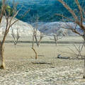 1101_0477_Embalse_El_Grado_Huesca_Spain.jpg