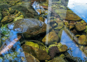 2441 San Antolin Asturias Spain