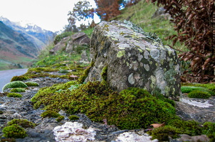 0231 Valle de Hecho Huesca Spain