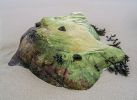 6016 Coast of Asturias Spain