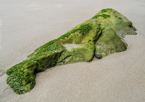 6018 Coast of Asturias Spain