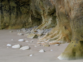 6026 Coast of Asturias Spain