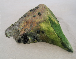 6031 Coast of Asturias Spain