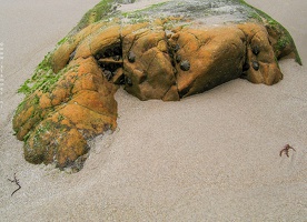 6074 Coast of Asturias Spain