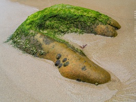 6076 Coast of Asturias Spain