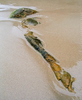 6078 Coast of Asturias Spain