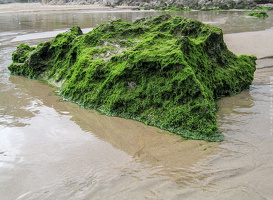 6102 Coast of Asturias Spain