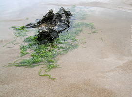 6114 Coast of Asturias Spain