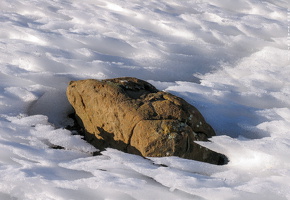 7844 Refugio Gabardito Huesca Spain