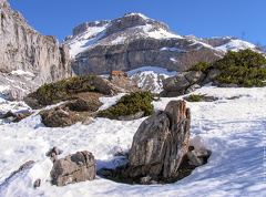 7935_Refugio_de_Lizara_Huesca_Spain.jpg