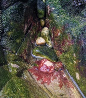 IMG 5995 Asturias Spain