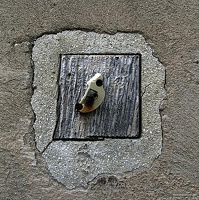 4743 
