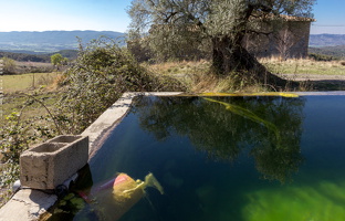 1101 1275 Guell Huesca Spain