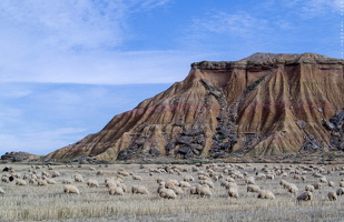 3247 Bardenas Reales Navarra Spain