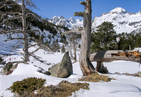 341 4111 Benasque Huesca Spain