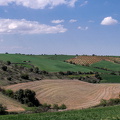 345_4532_Herrera_de_los_Navarros_Zaragoza_Spain.jpg