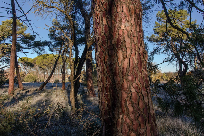 1100_1002_Soria_Spain.jpg