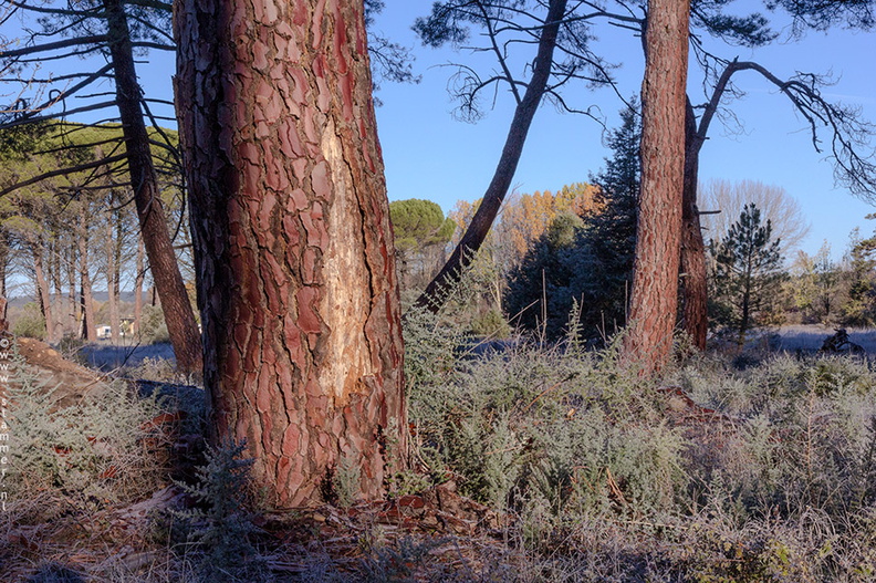 1100_1005_Soria_Spain.jpg