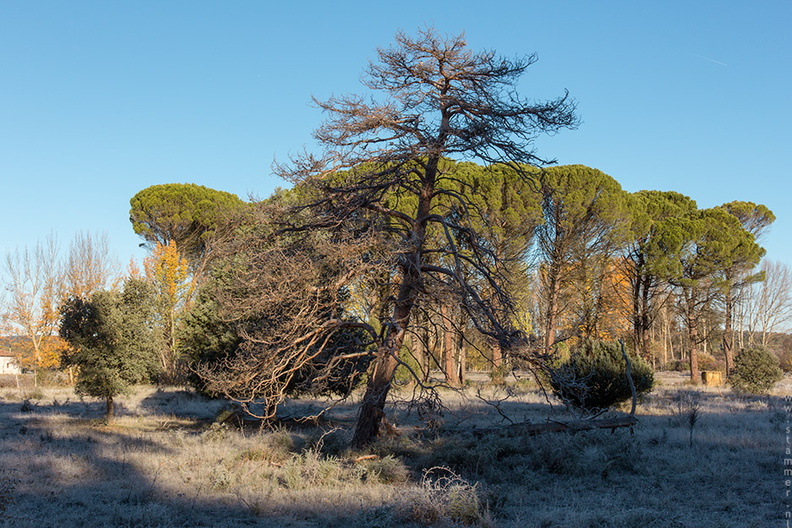 1100_1009_Soria_Spain.jpg