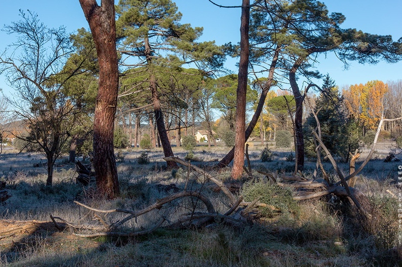 1100_1022_Soria_Spain.jpg