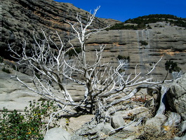 6543 Vadiello Huesca Spain