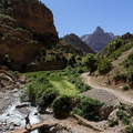 1100_6507_Taghia_Azilal_Morocco.jpg