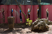 gallery 20 last dance