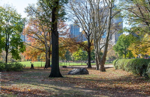 1100 8632 Central Park New York USA