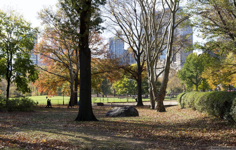 1100_8632_Central_Park_New_York_USA.jpg