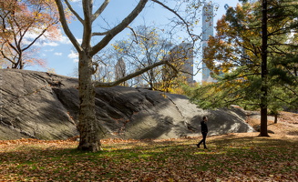 1100 8642 Central Park New York USA