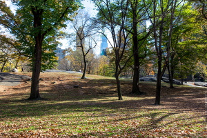 1100 8643 Central Park New York USA