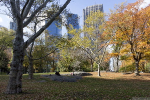 1100 8644 Central Park New York USA