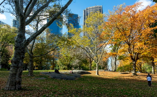 1100 8644 Central Park New York USA