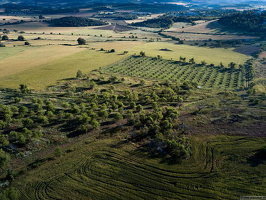 dji 0098 Above the terrain of the Nature Switched On projecct Huesca Spain