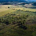 dji_0098_Above_the_terrain_of_the_Nature_Switched_On_projecct_Huesca_Spain.jpg