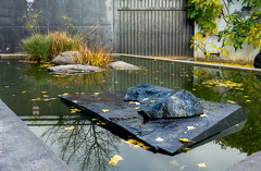 1101_5705__Bonsai_Garden_Alcobendas_Madrid_Spain.jpg