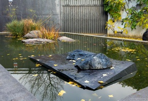 1101 5705  Bonsai Garden Alcobendas Madrid Spain