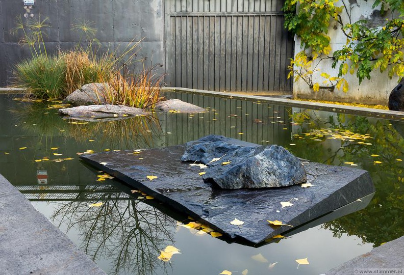 1101_5705__Bonsai_Garden_Alcobendas_Madrid_Spain.jpg