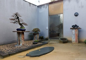 1101 5717  Bonsai Garden Alcobendas Madrid Spain