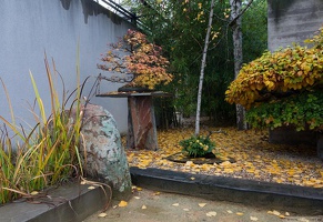 1101 5731  Bonsai Garden Alcobendas Madrid Spain