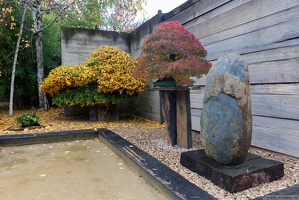 1101 5732  Bonsai Garden Alcobendas Madrid Spain