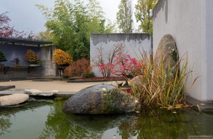 1101 5733  Bonsai Garden Alcobendas Madrid Spain