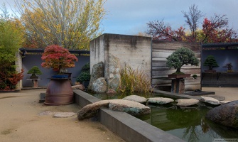 1101 5734  Bonsai Garden Alcobendas Madrid Spain