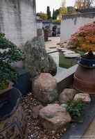 1101 5735  Bonsai Garden Alcobendas Madrid Spain