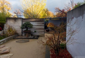 1101 5742  Bonsai Garden Alcobendas Madrid Spain