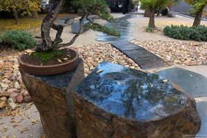 1101 5750  Bonsai Garden Alcobendas Madrid Spain