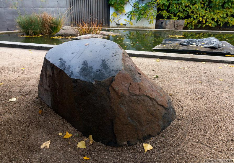 1101_5753__Bonsai_Garden_Alcobendas_Madrid_Spain.jpg