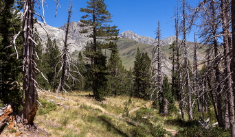 1100 7264 Batisielles Valle-de-Estos Huesca Spain