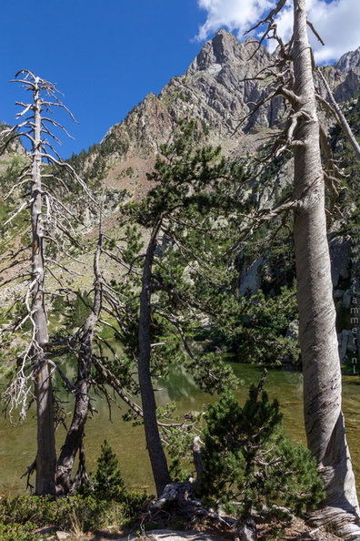 1100_7279_Batisielles_Valle-de-Estos_Huesca_Spain.jpg